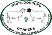 dorperlogo