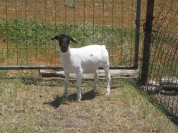 IMG 3646