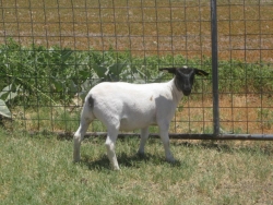 IMG 3673