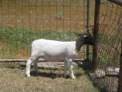 IMG 3740