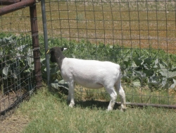 IMG 3744