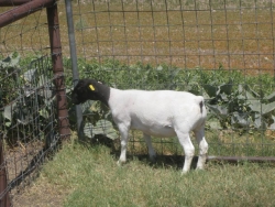 IMG 3772