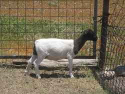 IMG 3937