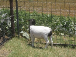 IMG 3943