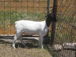 IMG 3979